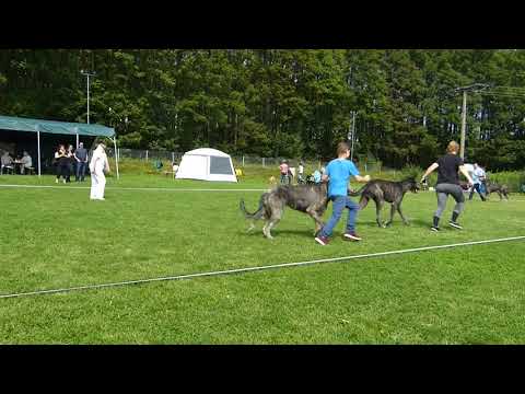 20170827 Rüden Jugendklasse Ausstellung Ebenhahn
