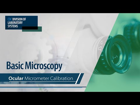 Basic Microscopy – Ocular Micrometer Calibration