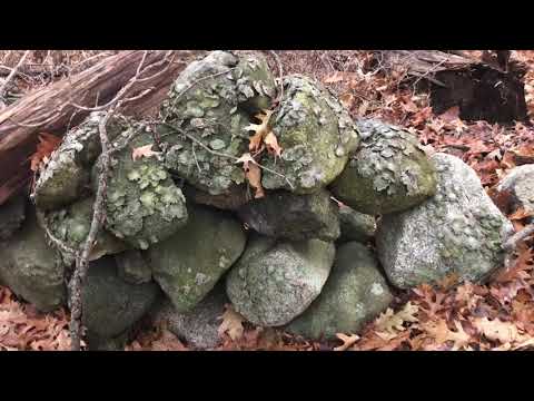 Stone Wall Investigation- Peabody, Massachusetts - #nehssie