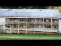 "A State of Misery" (the puppy mill song)
