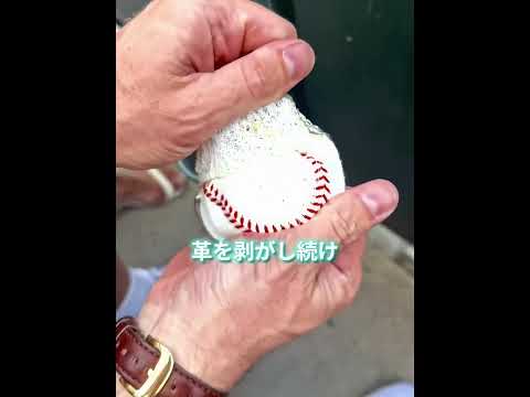 野球ボールを母親の靴に変えた男 🥹⚾