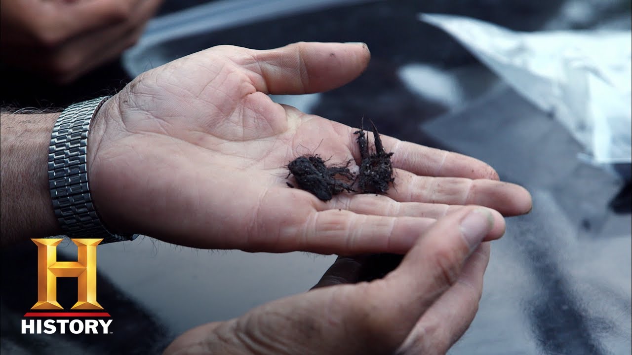 YouTube Thumbnail Downloader FULL HQ IMAGE