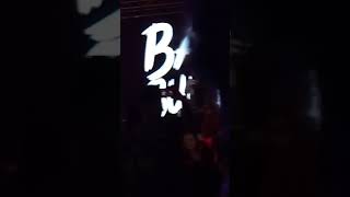 Bad bunny en palmeras