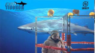 DIA 2 Expo Tiburon204