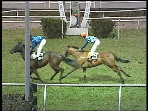 Galoppo 30/01/2015 - 3° corsa