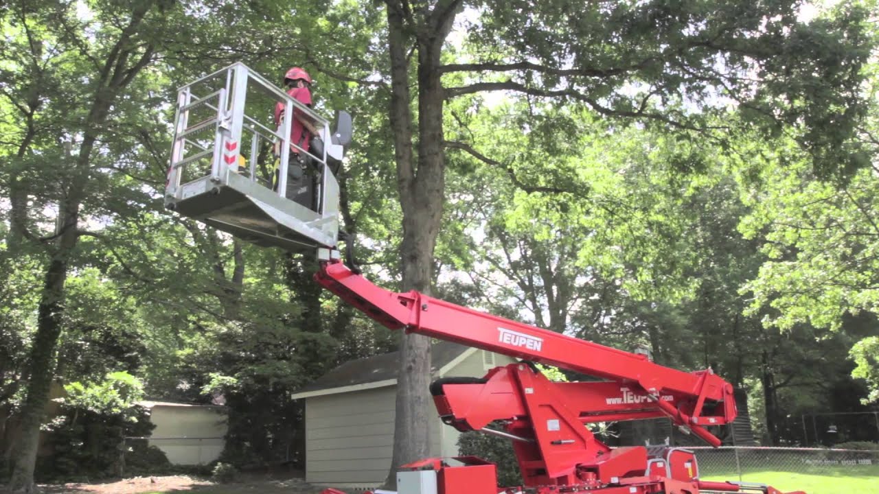 Teupen TL69A Tree Care