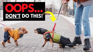 Leash Tension Is Making Your Dog’s Reactivity Worse (Here’s How to Fix It)