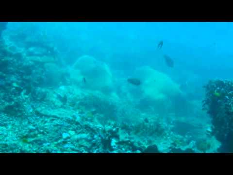 Das geschändete Paradies, Similan Islands,Thailand