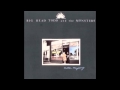 Flander's Fields // Big Head Todd and the Monsters // Another Mayberry (1989)
