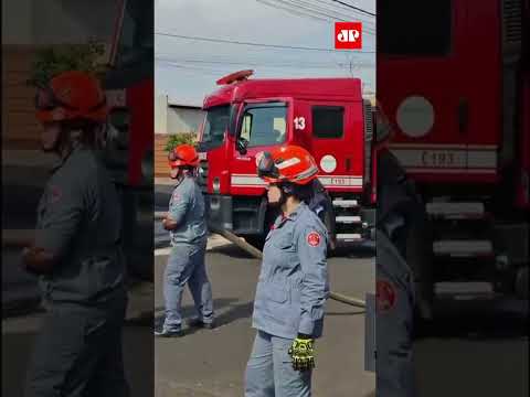 Onça-parda é capturada em área residencial de Cedral (SP) #shorts