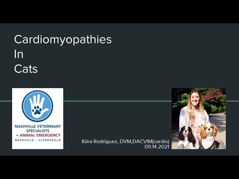 Cardiomyopathies in Cats