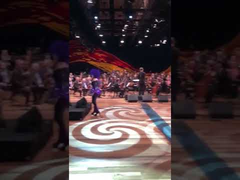 Elza Soares Memorial América Latina