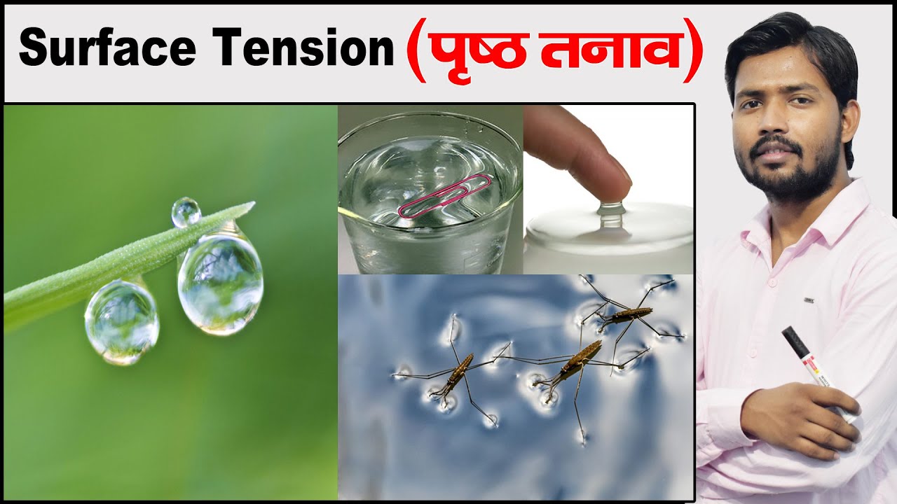 Surface Tension | Examples of Surface Tension | Fluid Mechanics | Physics by Khan Sir