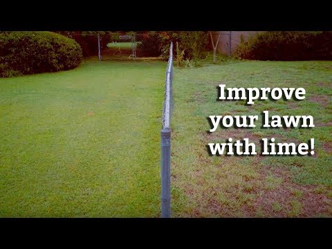 image-Can you lime and fertilize your lawn at the same time?