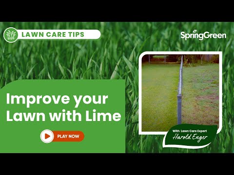 download lagu mp3 mp4 Lime For Grass, download lagu Lime For Grass gratis, unduh video klip Lime For Grass