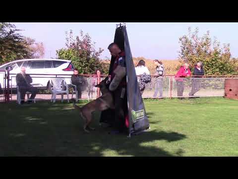 Rocket DVG Landesmeisterschaft 2021