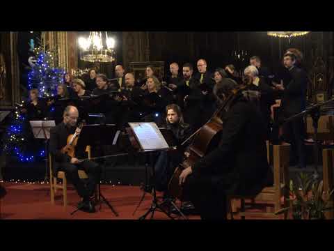 fine-tuned Adventi enek