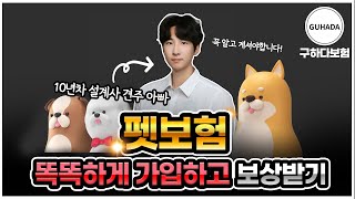 펫보험 가격 비교부터 추천까지 강아지보험 가장 유리한 회사는?!