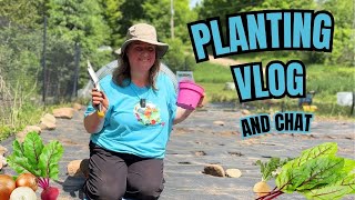 Digging Into Homesteading: Planting Vlog & Chat