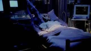 Chloe/Lex | Living out our Dreams [for Ashley]