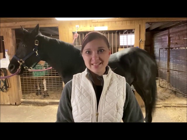 Measuring horses Measuring horses