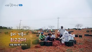 [168회_예고] 우리 가족이 최고구마~!