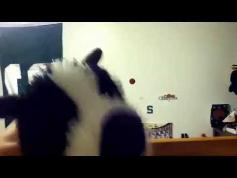 Hilarious turn down for what FAIL