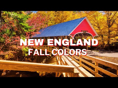 New England Road Trip 🍂 (Top 5 Fall Foliage Spots!) 🍂