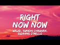 Right Now Now Lyrics Housefull 2 Wajid Sunidhi Chauhan Suzanne D Mello