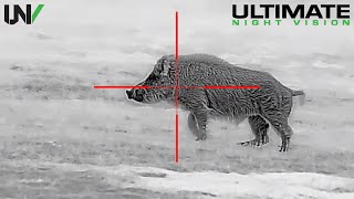 Hunting Big Boars with High Definition Thermal 1280x1024