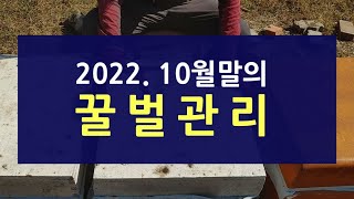 2022. 10월말의 꿀벌관리