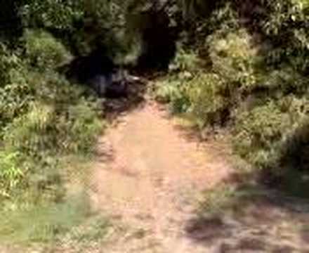 Trilha Cachorro Louco e outras II