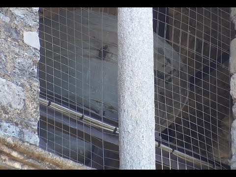 Campane di Gravedona (CO) Chiesa di S. Maria del Tiglio (chiesa parrocchiale di S. Vincenzo martire)