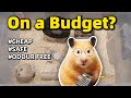 The Cheapest Way To Take Care Of Hamsters