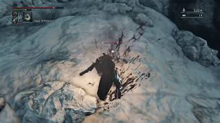 Bloodborne : Forsaken Cainhurst Castle