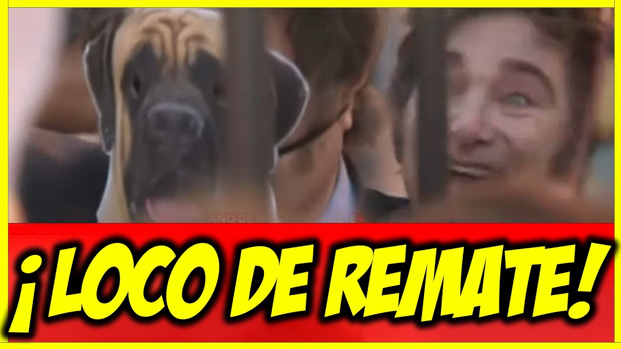 ¡EN VIDEO! MILEI SE DISFRAZA DE SU PERRO Y SALE DE LA CASA DE GOBIERNO - Daniel Devita EN VIVO