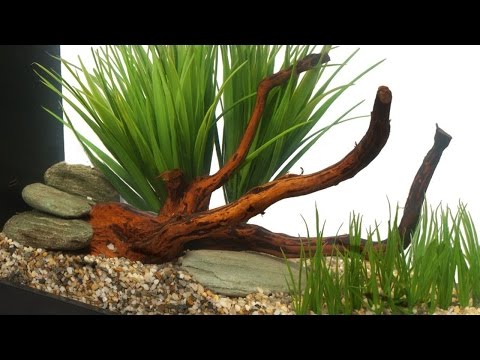 HOW TO: Aquascape a Small Aquarium (ft. Fluval Spec)