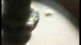 🔱 শিবলিঙ্গ শোধনের সংক্ষিপ্ত #watchesandwonders #expensivewatches