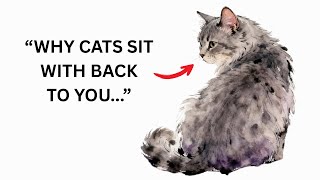 Why Your Cat Sits With Its Back Toward You – The Meaning Is Unexpected