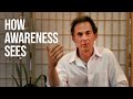 How Awareness Sees the World | Rupert Spira