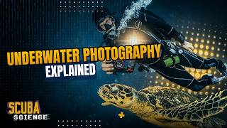 The Basics of Underwater Photography Explained Simply | SCUBA SCIENCE 09