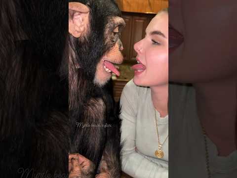 Be silly, have fun, BE YOURSELF!🤪🩷🙈 #animals #monkey #chimpanzee #cute #funnyanimals #besilly