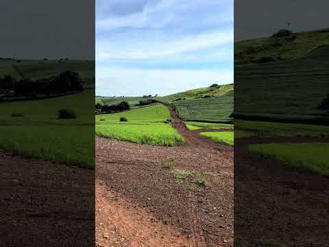 Ribeirão dos índios