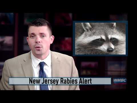 Rabies Alert