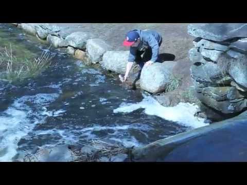 Herring Run - Oliver Mill Park - Middleboro - Massachusetts - USA
