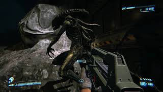 Aliens: Colonial Marines  - Aliens are scary 🙄