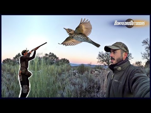 Caza del ZORZAL ¡BAJO CERO!