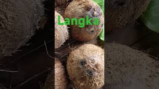 Download lagu Langka mp3