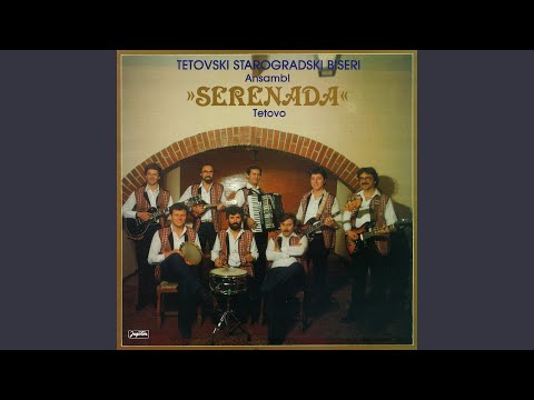 Džan Džinđer Magdo