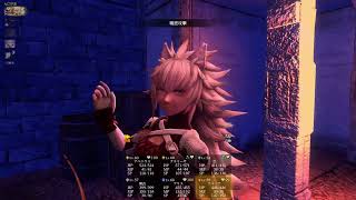 マイク無し【Wizardry Variants Daphne】89